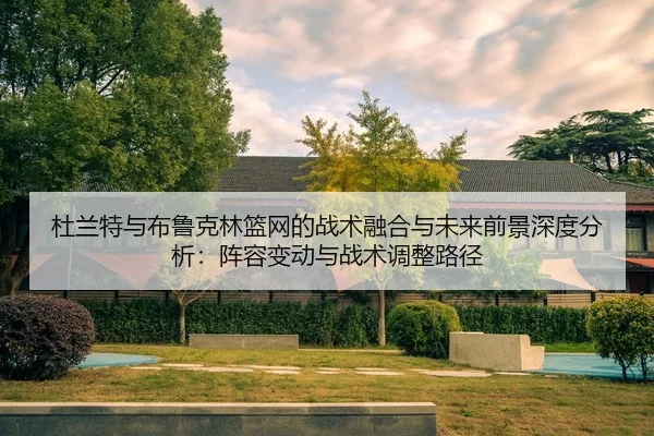 du-lan-te-yu-bu-lu-ke-lin-lan-wang-de-zhan-shu-rong-he-yu-wei-lai-qian-jing-shen-du-fen-xi-zhen-rong-bian-dong-yu-zhan-2-678.jpg